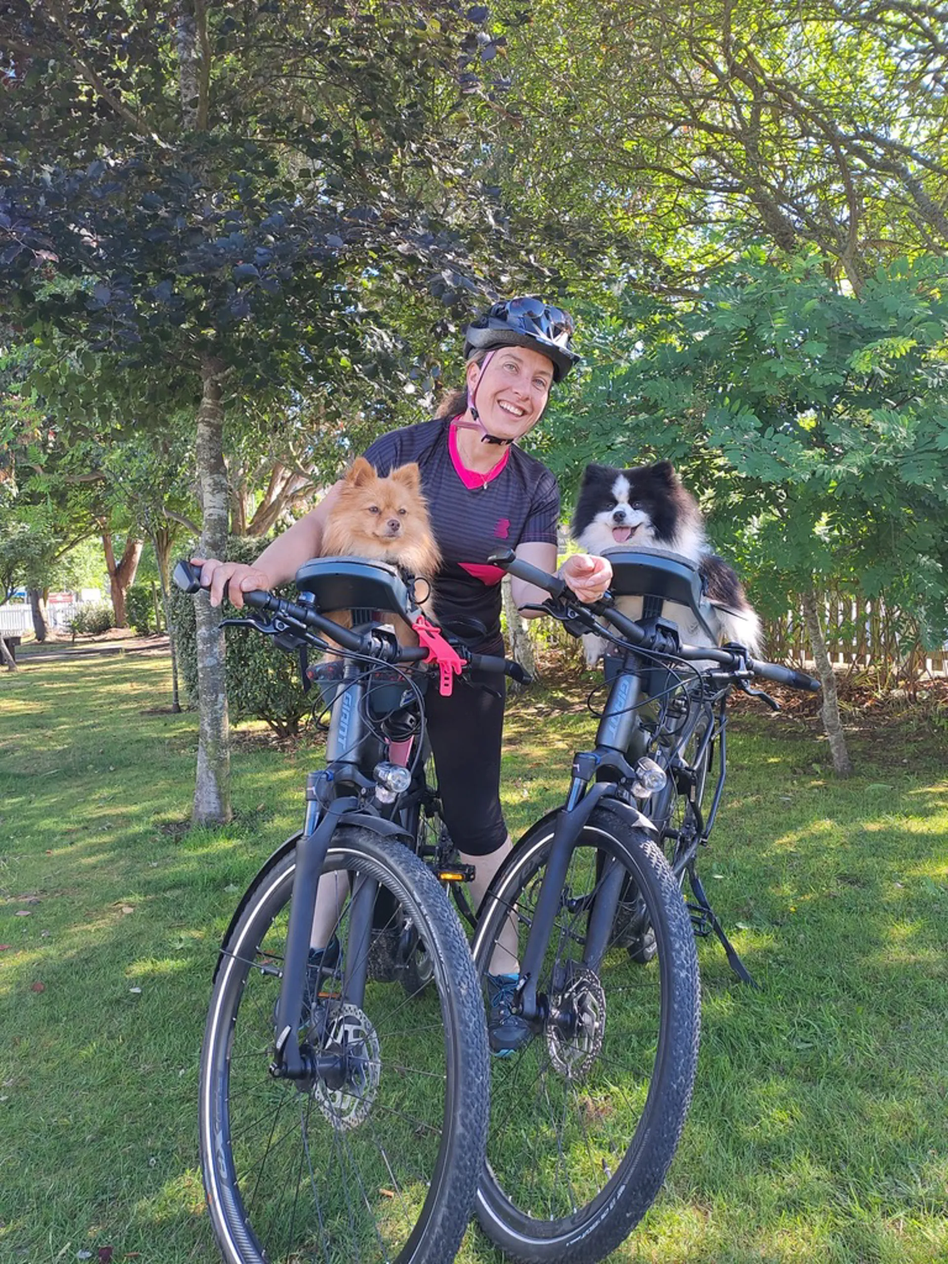 Buddyrider bicycle pet seat clearance
